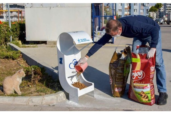 SOKAK HAYVANLARI UNUTULMADI