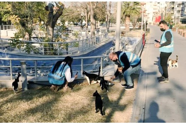 TÜGVA SOKAK HAYVANLARINI BESLEDİ