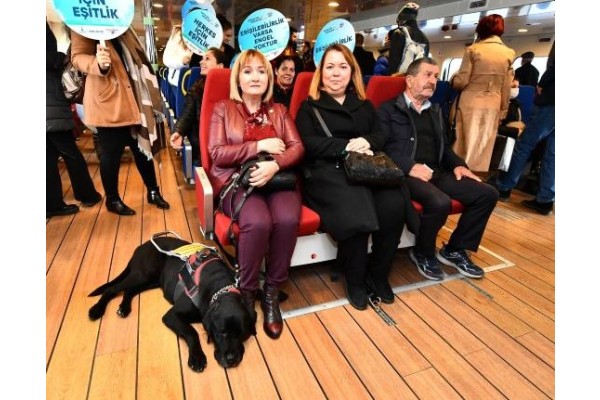 Rehber köpekler toplu ulaşımda