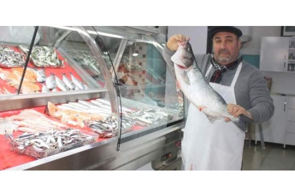 Havaya Bağlı Balık Borsası Yükselişte