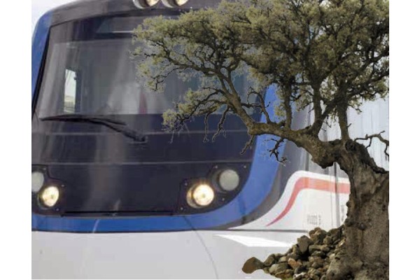 İZBAN HATTINDAKİ ZEYTİN AĞAÇLARI YENİDEN GÜNDEMDE!