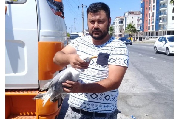 YARALI MARTININ İMDADINA OTO KURTARICI YETİŞTİ