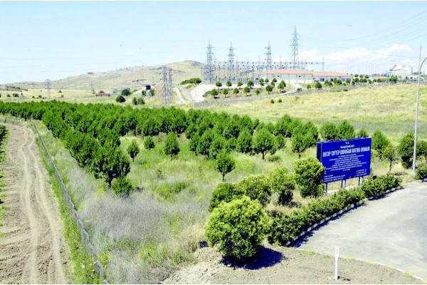 İKİ YILDA 140 BİN FİDAN DİKİLDİ