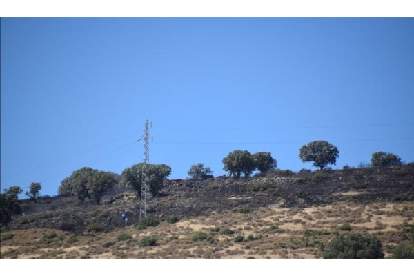 ÇALTILIDERE’DE ÇIKAN YANGIN KORKUTTU