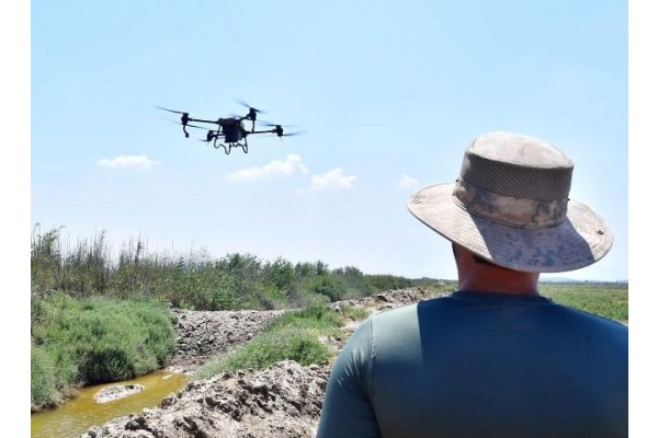 Sivrisinek ile dronlu mücadele