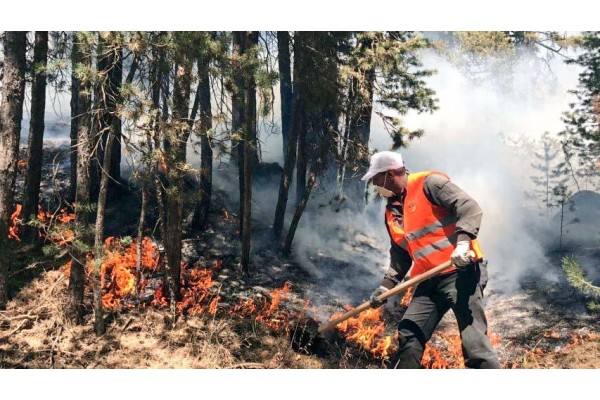 BAKANLIKTAN ‘ORMAN YANGINLARI’ GENELGESİ