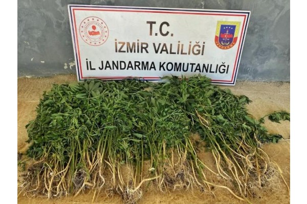 Uyuşturucu operasyonlarında 26 kişi yakalandı