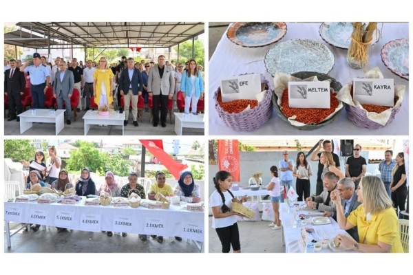 Yerli buğday diğer türleri geride bıraktı