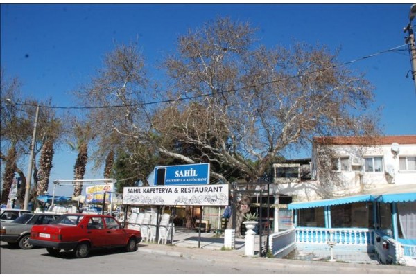 ASIRLIK ÇINARIN ALTINDA 80 YILLIK MEKÂN