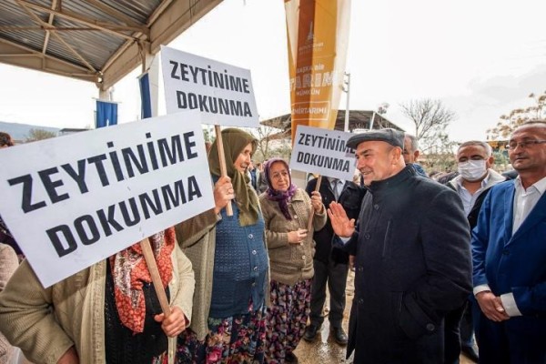 SOYER’DEN ZEYTİNLİK DÜZENLEMESİNE TEPKİ