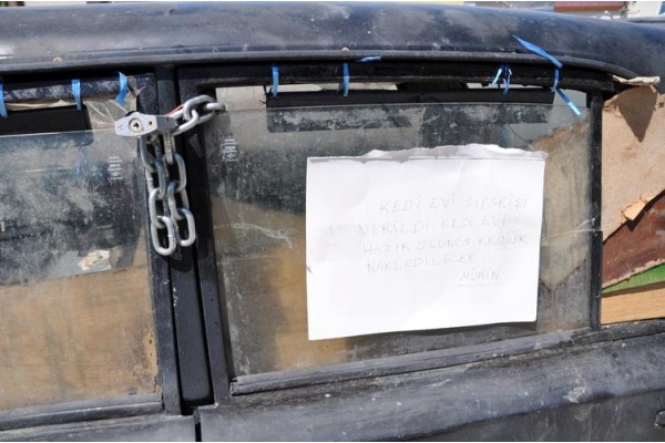 BAKIM MI, ZULÜM MÜ?