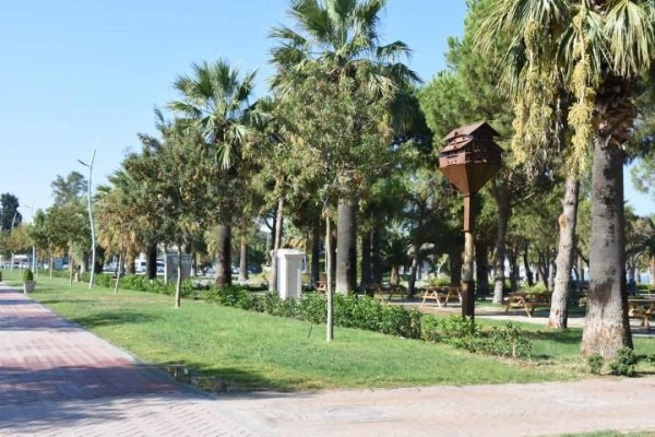 ALİAĞA’NIN KUŞLARI KIŞIN ÜŞÜMEYECEK!