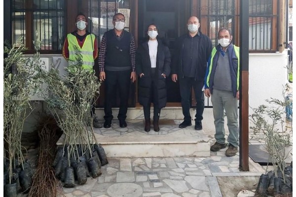 19 MAHALLEDE 3525 FİDAN DAĞITILDI