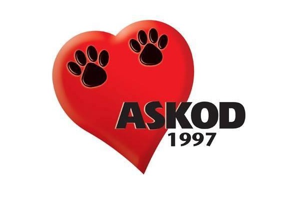 ASKOD PASİF KONUMA GEÇTİ