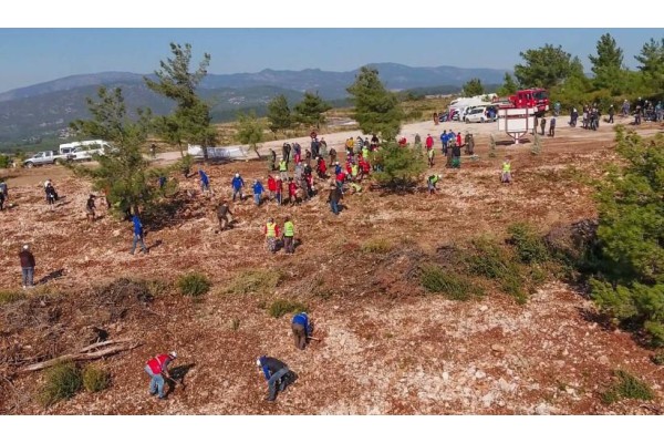 20 BİN FİDAN TOPRAKLA BULUŞTU
