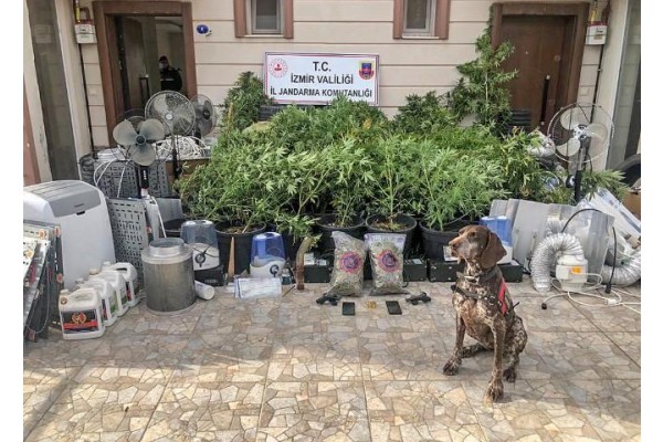 UYUŞTURUCU OPERASYONUNDA 4 KİŞİ YAKALANDI