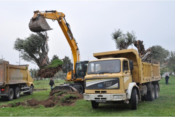 ZEYTİNLİ PARK KATLEDİLDİ