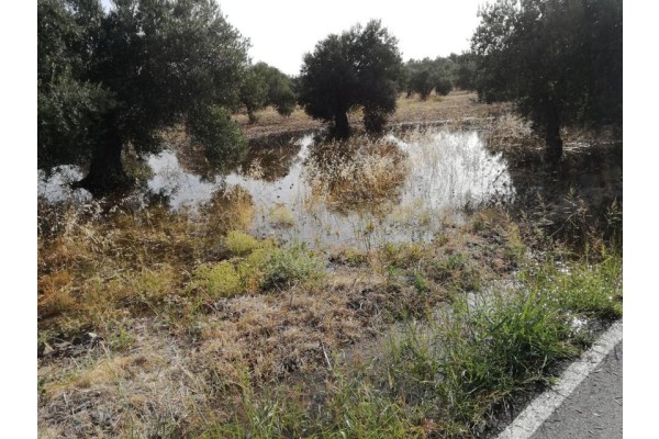 İZSU’YA İSYAN BÜYÜYOR