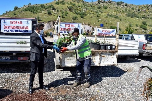 BELEDİYEDEN VATANDAŞA 20 BİN FİDE