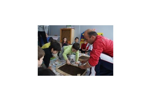 TOHUMDAN BÜYÜTÜP BAHÇEYE DİKTİLER