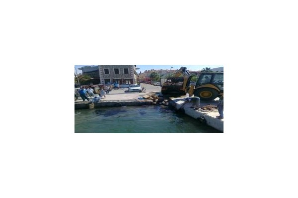 YENİFOÇA'DA SAHİLİNDE ÇEVRE KATLİAMI.