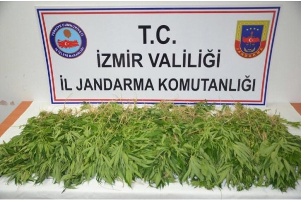 ALİAĞA'DA UYUŞTURUCU OPERASYONU