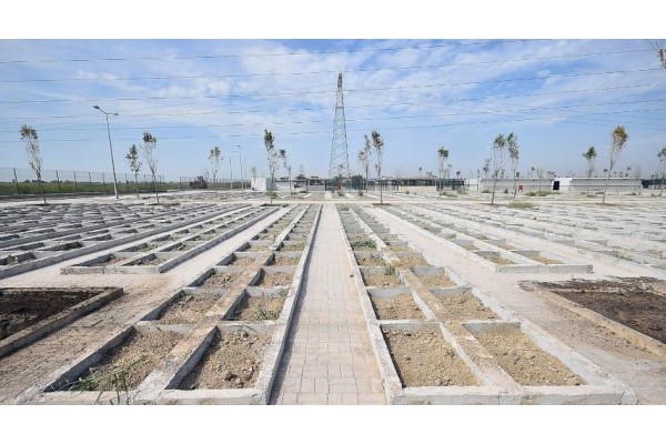 Hayvan mezarlığında doluluk oranı yüzde 35’e ulaştı