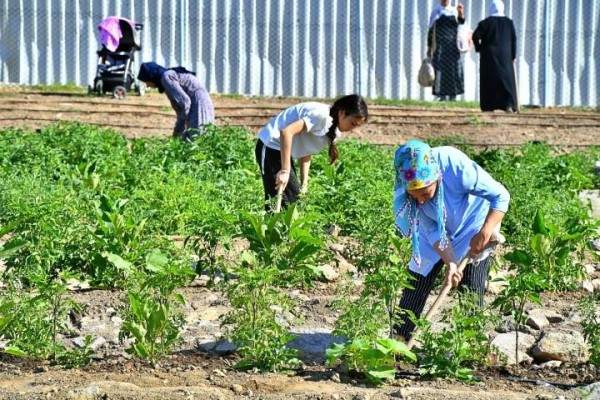 Üretici kadınlar ilk ürünlerini aldı