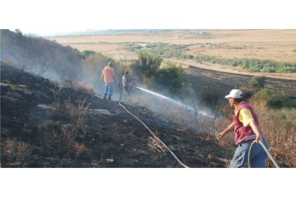 ALİAĞA’DA YANGIN