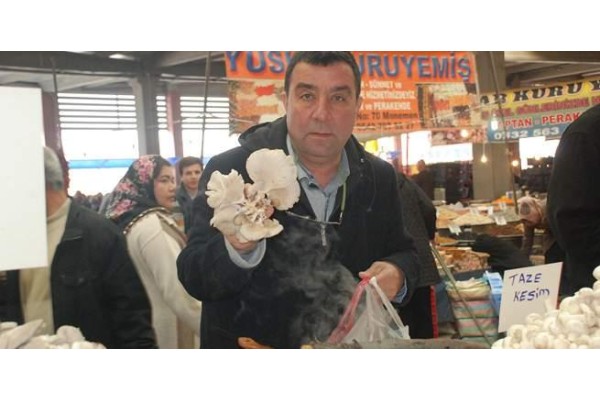 KARTAL YUVASINDA "MANTAR PARTİSİ" VAR!