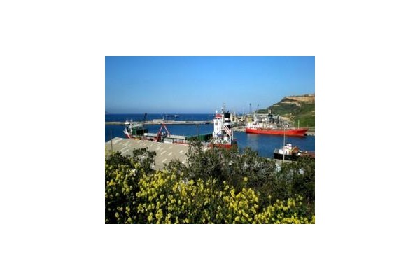 Ege İhracatçı Birlikleri'ne destek