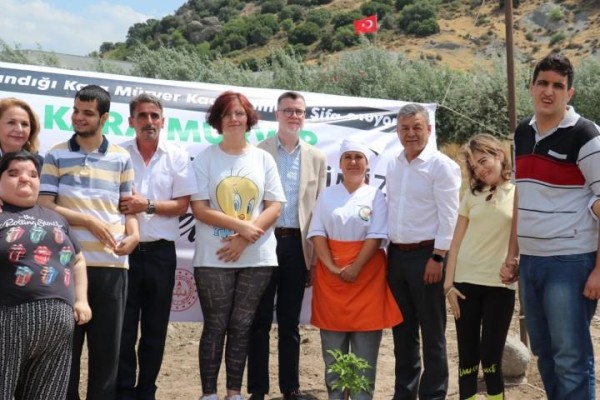 İzmir tarımında yeni ürün; Kara Mürver