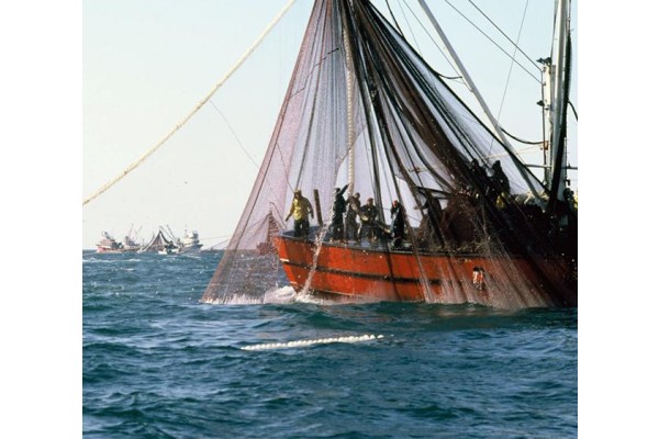 SU ÜRÜNLERİ ÜRETİMİ AZALDI