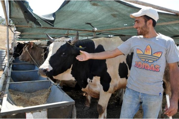 KURBANLIKLAR ALICILARINI BEKLİYOR