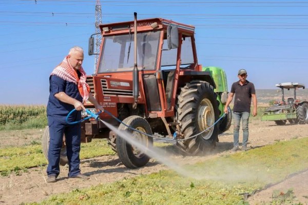 Türkelli’de bağbozumuna katıldı
