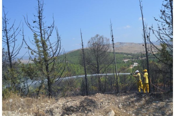 PINARCIK MEVKİİNDE ORMAN YANGINI