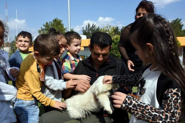 MİNİKLERİN HAYVAN SEVGİSİ