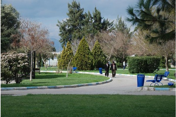 ALİAĞA'YA ‘KENT ORMANI’