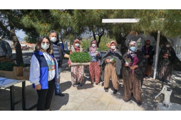 İLÇE TARIM FİDE DAĞITIMINA BAŞLADI