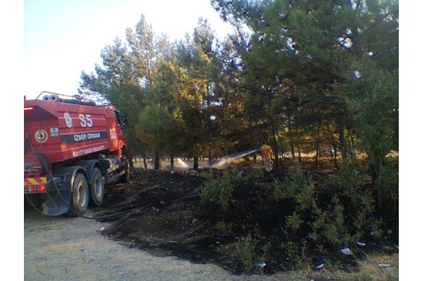 ÇAM AĞAÇLARI YANGINDA ZARAR GÖRDÜ