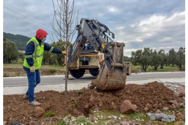 BOZKÖY’E 75 ADET SÜS ARMUDU
