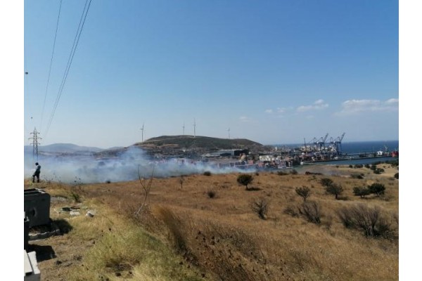 20 DÖNÜMLÜK OTLUK ALAN YANDI