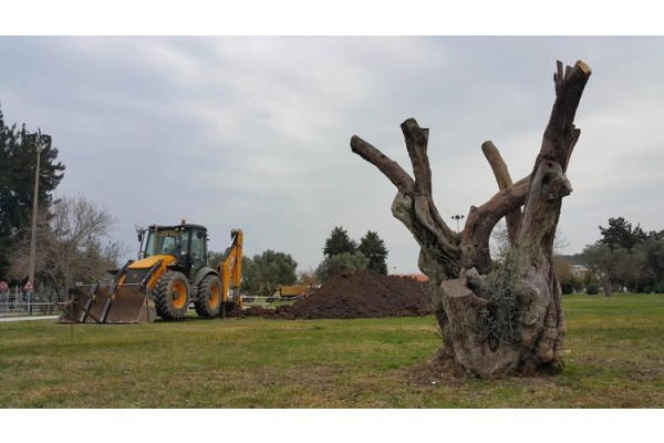 ZEYTİNLİ PARK’TAN YOL GEÇMEYECEK