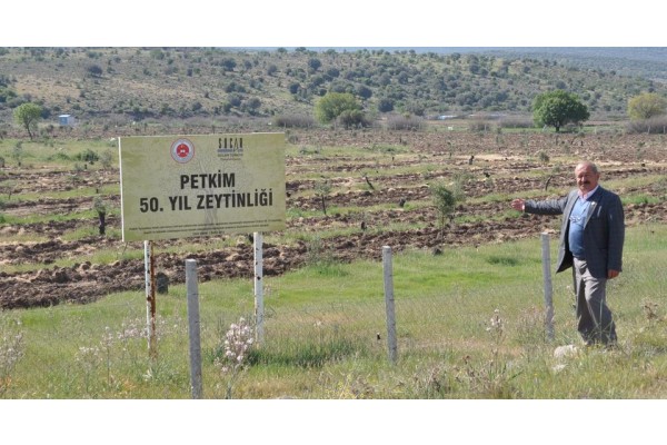 SOCAR’DAN GÜNEŞ ENERJİSİ İSTİYORLAR