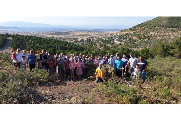 SAMURLU’DA ENDÜSTRİYEL ORMAN KESİMİNE TEPKİ