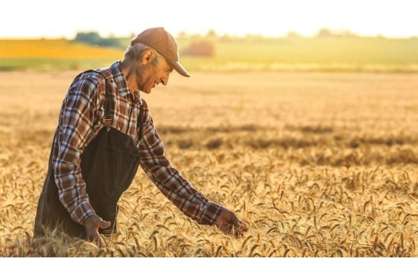 Çiftçilere ödenecek destekler belli oldu