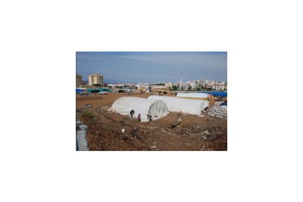 Aliağa’ya ilk kurbanlıklar geldi