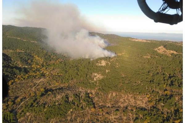 BERGAMA'DA ORMAN YANGINI