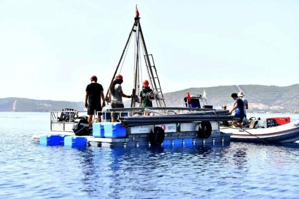 Körfezdeki faylar mercek altında