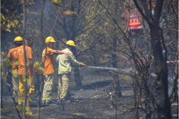 PINARCIK’TA ORMAN YANGINI